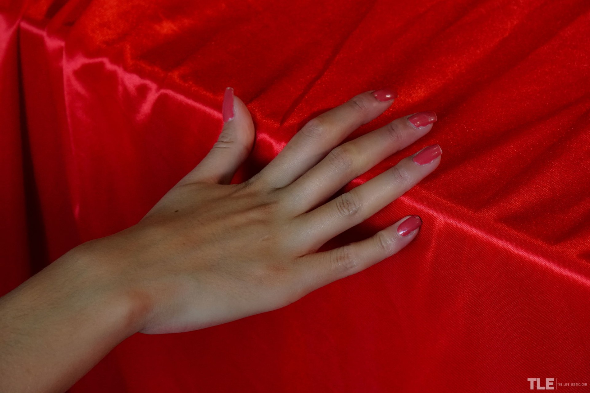 Picture 02